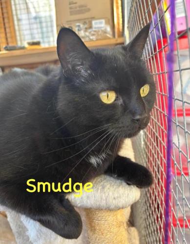 Smudge