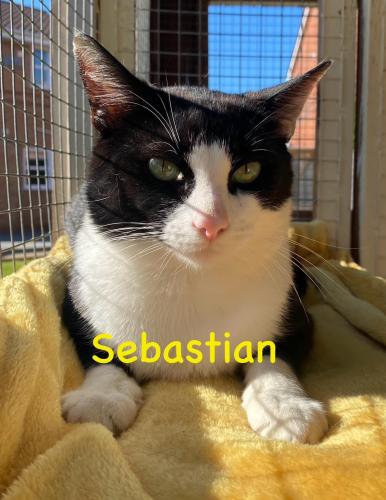 Sebastian